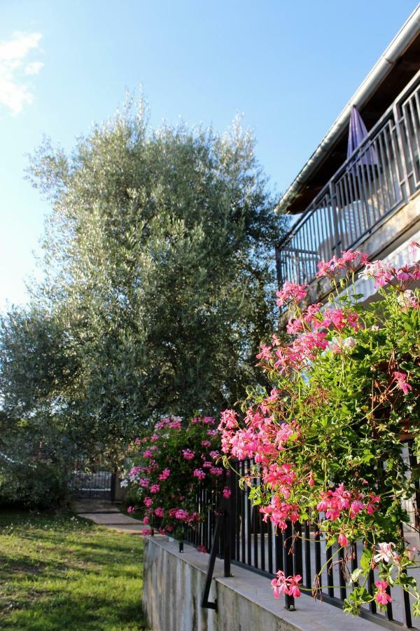 Turkovic Apartments Zgaljic Dış mekan fotoğraf