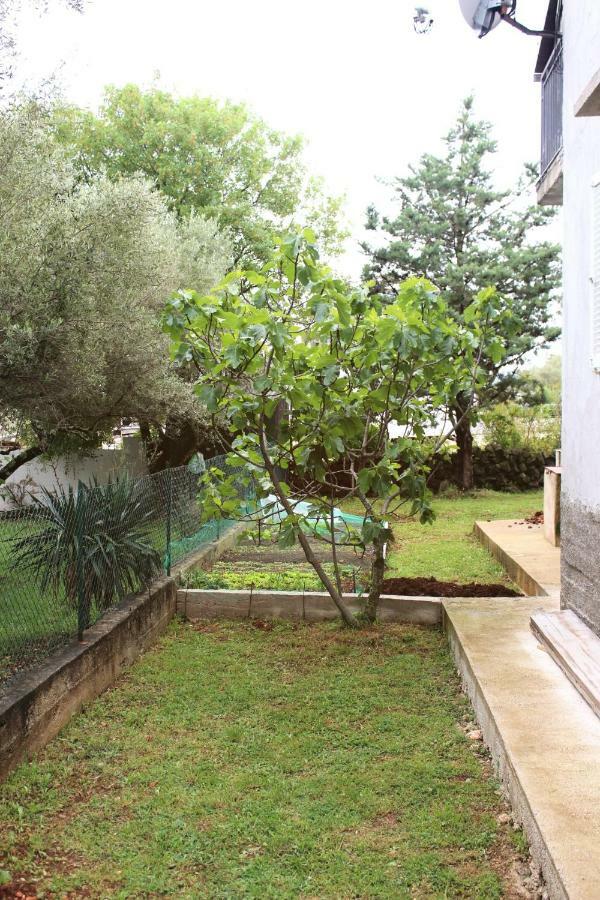 Turkovic Apartments Zgaljic Dış mekan fotoğraf