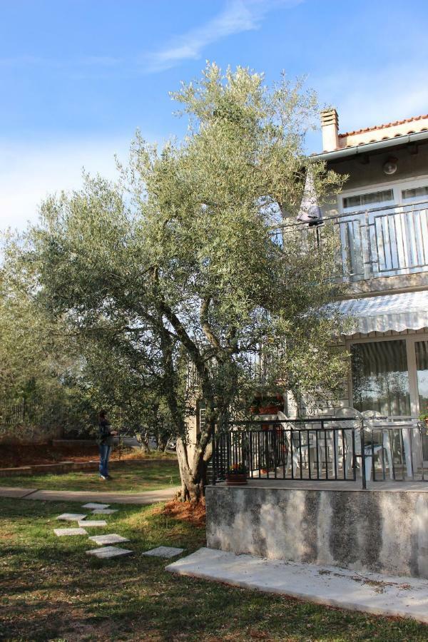 Turkovic Apartments Zgaljic Dış mekan fotoğraf